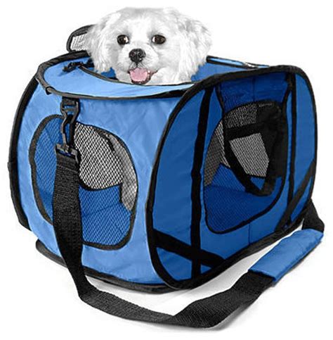 chewy airline approved pet carrier.